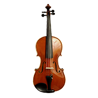 Viole