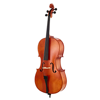 Violoncele acustice