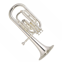 Corn alto