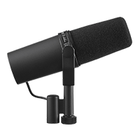 Microfoane pentru amplificatoare