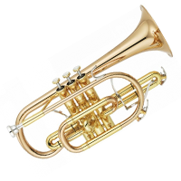 Cornet