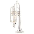 Cornet Sib Yamaha YCR-2310SIII , 2 piese, argintat