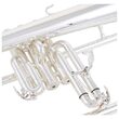 Fligorn Sib Yamaha YFH-631GS , 2 piese, argintat, cu clopot aurit