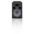 Boxa pasiva Dynacord Corus Evolution C15.2