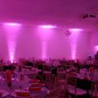 Proiector Par LED ADJ Mega Triar Profile Plus