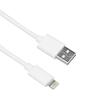Cablu de date si incarcare USB - Lightning Well, 1m, 2A