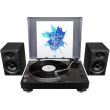 Monitoare active Pioneer DJ DM-40