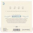 Corzi mandolina 10-34 D'Addario EJ62 80/20 , light