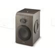 Monitor activ de studio Focal Shape 65