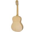 Chitara clasica Hora GS100 Gold Paltin 4/4