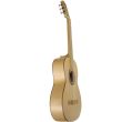 Chitara clasica Hora GS100 Gold Paltin 4/4