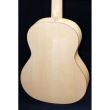 Chitara clasica Hora GS100 Gold Paltin 4/4