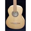 Chitara clasica Hora GS100 Gold Paltin 4/4
