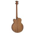 Chitara bass electro-acustic ESP Ltd JB-320E NS
