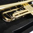 Trompeta J.Michael TR-200Z