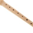 Fluier recorder sopran Do Meinel 200-1 C