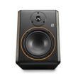 Monitor de studio activ Palmer STUDIMON 5, 2 x 30W, per bucata