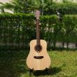 Chitara electro-acustica Hora Regal 10E , western, simetrica, palisandru