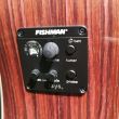 Chitara electro-acustica Hora Regal 10E , western, simetrica, palisandru