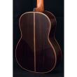 Chitara electro-clasica Hora Regun Concert SM20 EQ Fishmann 4/4