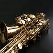 Saxofon alto J. Michael AL-500N - detaliu vedere laterala