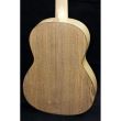 Chitara clasica Hora SS400 Proe. Silver Frasin 4/4