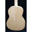 Chitara electro-clasica Hora SS100 Proe. Silver Paltin EQ CTW 4/4