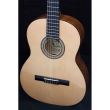 Chitara clasica Hora N1226 Student N 1/2 , lustruit