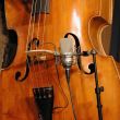 Microfon de studio Neumann TLM 103 Studio Set , incl. shockmount EA 1