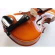 Vioara 4/4 Hora Rhapsody Student V101 , accesorii abanos