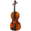 Vioara 4/4 Hora Rhapsody Student V101 , accesorii abanos