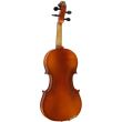 Vioara 4/4 Hora Rhapsody Student V101 , accesorii abanos