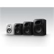 Monitor activ Pioneer DJ VM-50