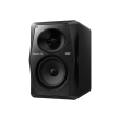 Monitor activ Pioneer DJ VM-50