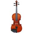 Pachet vioara 1/2 Carlo Giordano VS-0E