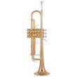 Trompeta Sib Yamaha YTR-4335GII , cu clopot aurit