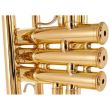 Trompeta Sib Yamaha YTR-6335 , 2 piese