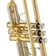 Trompeta Sib Yamaha YTR-8335RG 04 , inversata, cu clopot aurit