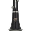 Clarinet Sib Yamaha YCL-CSVR , custom