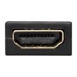 Adaptor video HDMI-A mama - DisplayPort tata 20 pini