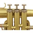 Fligorn J.Michael FG-500S