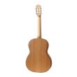 Chitara clasica Hora SS500 Silver Aningre 3/4