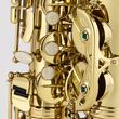 Saxofon alto Chateau Cheverny CAS-21L, lacuit