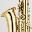 Saxofon alto Chateau Cheverny CAS-21L, lacuit
