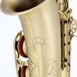 Saxofon alto Chateau Valencay CAS-22M, brush