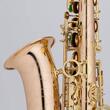 Saxofon alto Chateau Chenonceau CAS-80L, lacuit