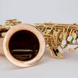 Saxofon alto Chateau Chenonceau CAS-80L, lacuit