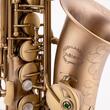 Saxofon alto Chateau Chenonceau CAS-80M, brush