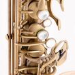 Saxofon alto Chateau Chenonceau CAS-80M, brush