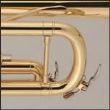 Trompeta J.Michael TR-200